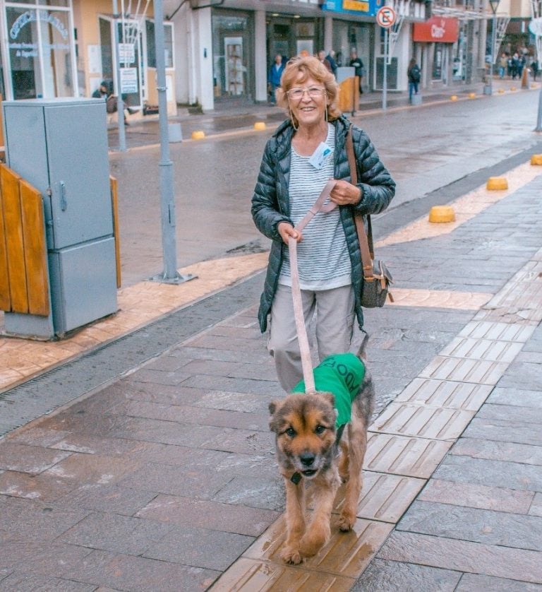 Voluntarios Zoonosis Ushuaia