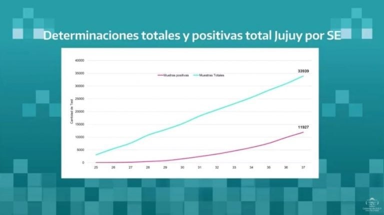 Gráfico que muestra que hasta el momento se realizaron 34.739 tests PCR en toda la provincia, de los que 12.399 resultaron casos positivos. El COE informó además que se recuperaron de la enfermedad 6.211 pacientes, mientras que  fallecieron 370 personas.