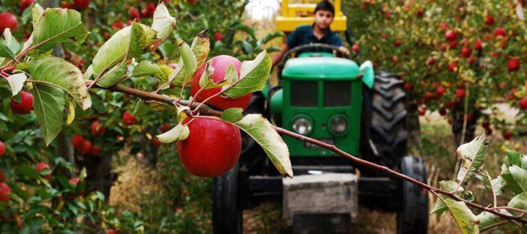 Piden que se convoque la Mesa de Concertación Frutícola.