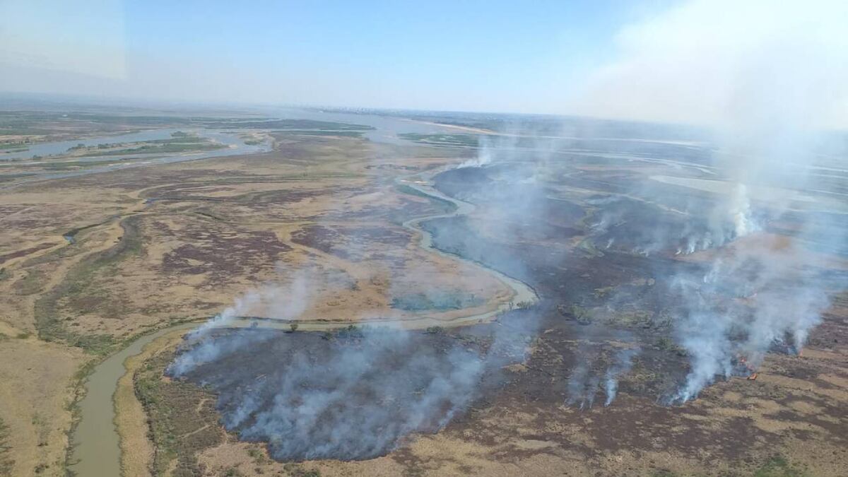 Apagaron incendios en las islas al sur de Rosario pero quedan focos en Santa Fe