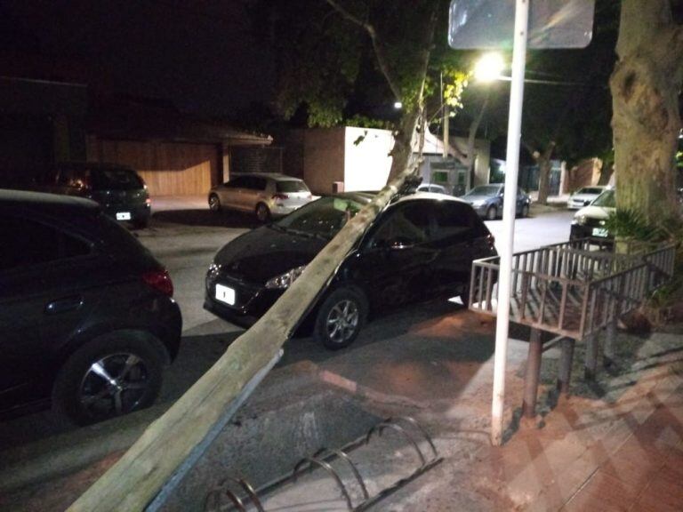 El poste de luz sobre el auto.