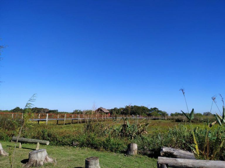 Vía Rosario cruzó la isla y transmitió en vivo desde la reserva Los Tres Cerros