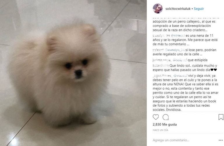 Fuertes críticas para Karina "La Princesita" por el perro de raza que le regaló a su hija por el cumpleaños.