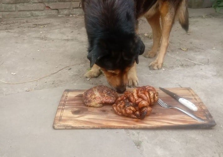 Para celebrar los 15 años de su perro le hizo un asado y su historia se viralizó. (Facebook)