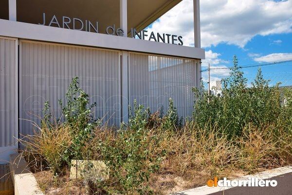 Jardines abandonados en San Luis.