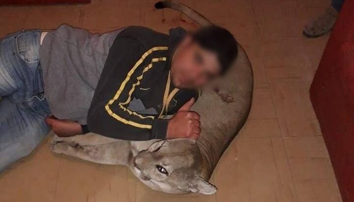 Indignación en las redes por las fotos de unos cazadores posando con un puma muerto (Web)