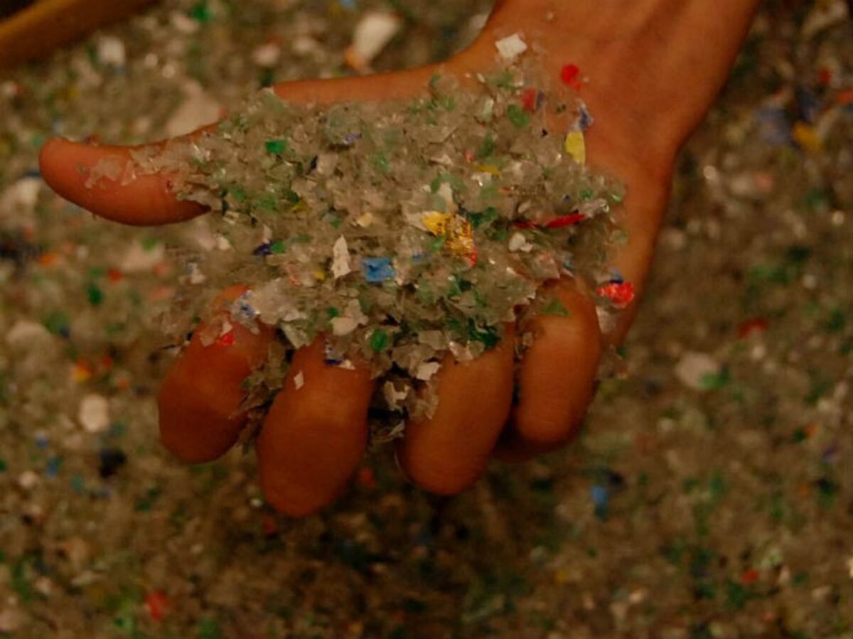 EcoInclusión: la fundación que construye ladrillos ecológicos para viviendas sociales