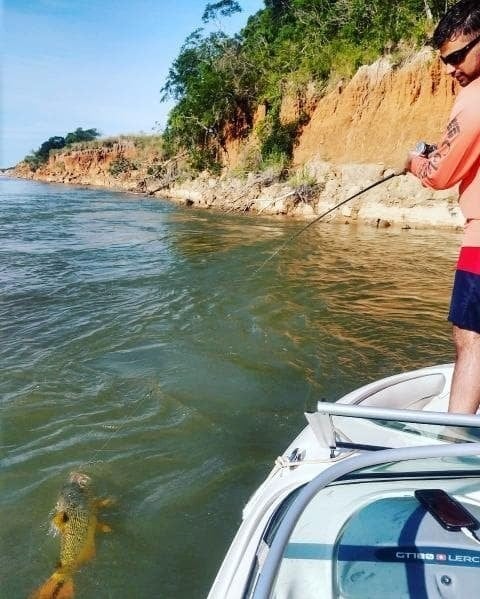 Momento de lucha para sacar el pez del río.