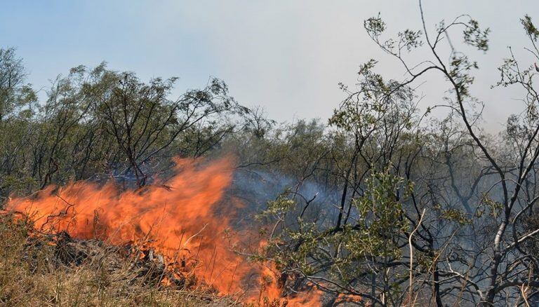  Incendios Forestales