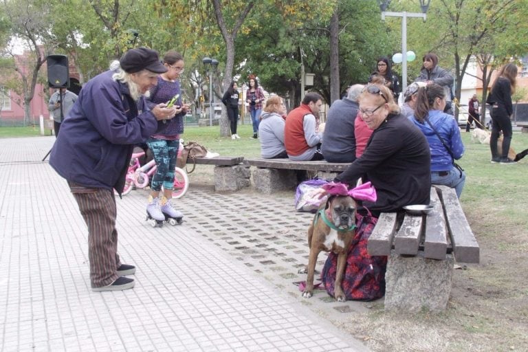 Dia del Animal en San Luis