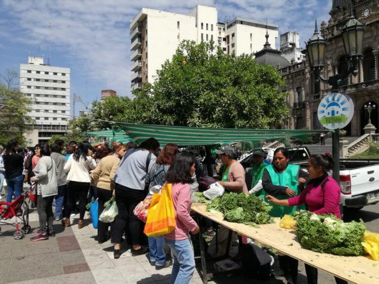 "Verdurazo" en la Plaza Independencia.