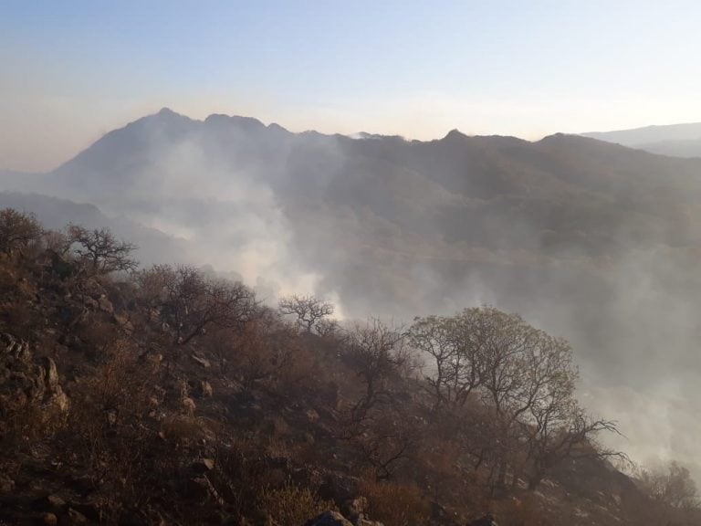 Fue contenido el incendio del viernes 21 de setiembre en Alpa Corral.