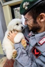 ABR06 ABRUZZO (ITALIA), 23/01/2017.- Un miembros del equipo de rescate muestra a uno de los tres cachorros de perro rescatados de entre las ruinas del hotel Rigopiano, sepultado por un alud en el hotel Rigopiano en Abruzo, el centro de Italia hoy 23 de en