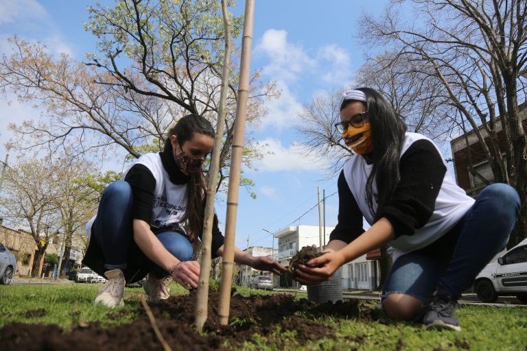 ONG´s e instituciones de bien público expondrán las tareas que están realizando en el contexto de la pandemia (Municipalidad de La Plata)