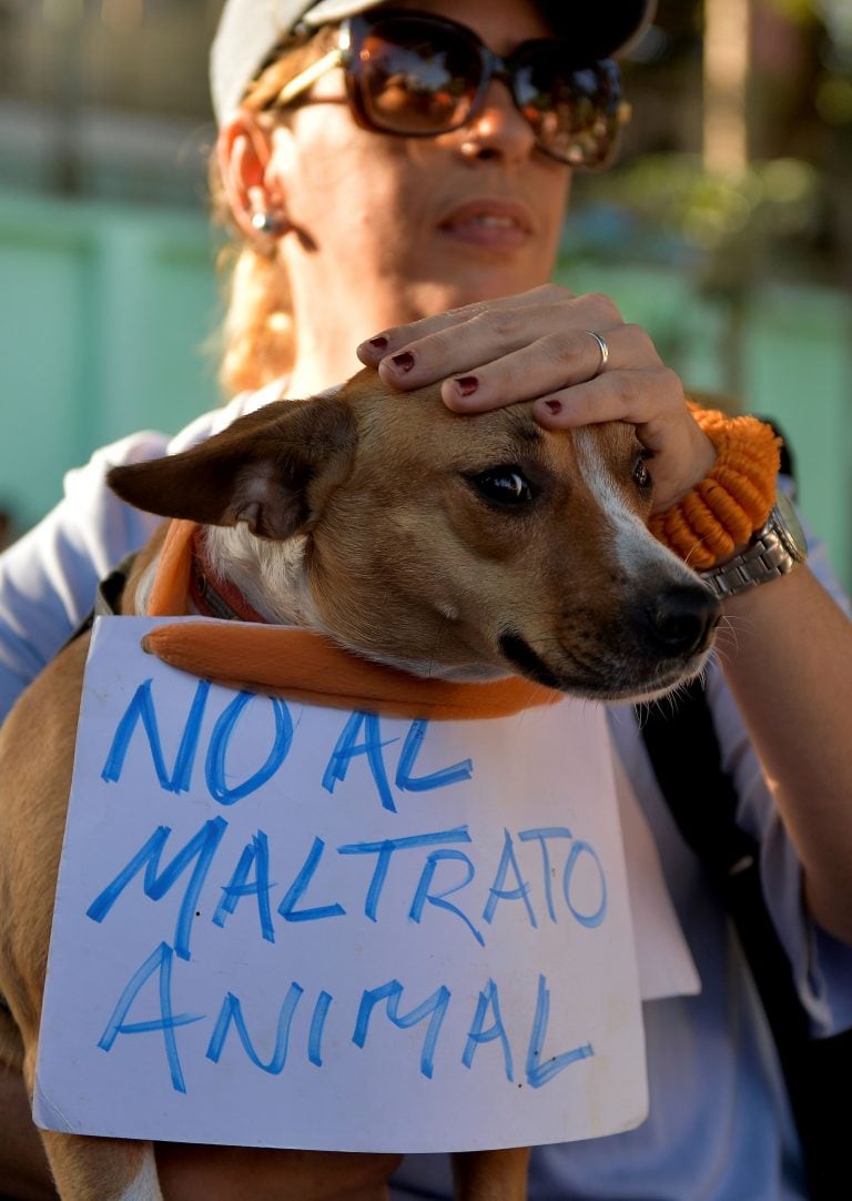 Varias instituciones expresaron su indignación por lo ocurrido.