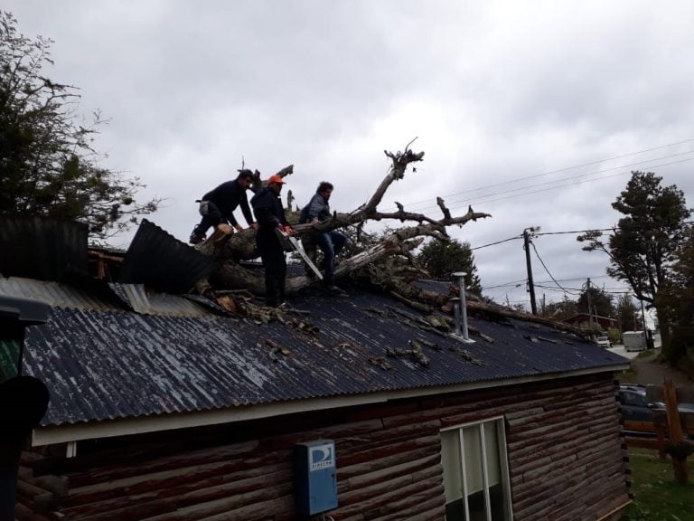 Árbol destrozó el techo de un recinto.