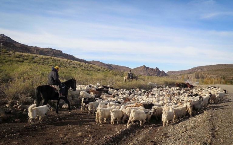 Neuquén, un recorrido por la Patagonia escondida