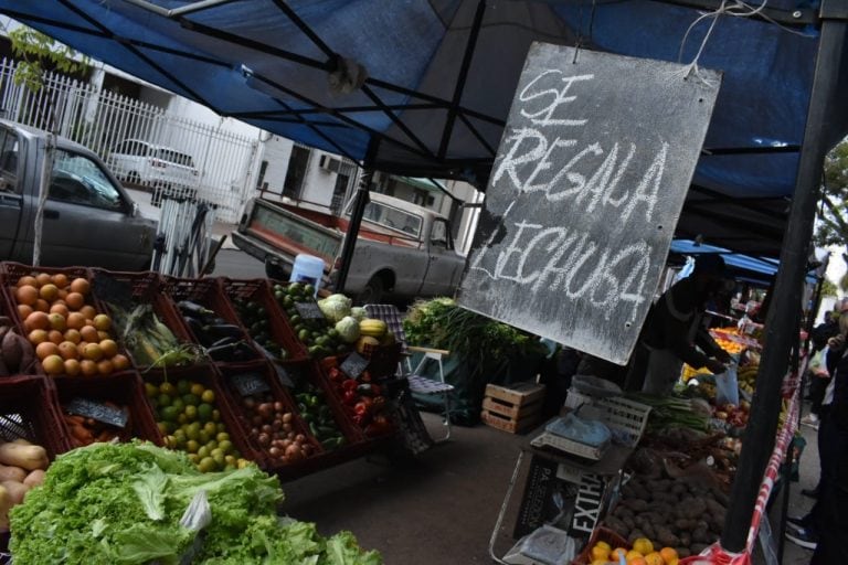 La oferta del día es "se regala Lechuga", en los Mercados Populares.