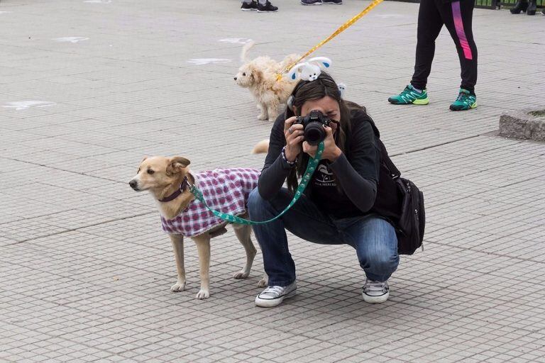 Dia del Animal en San Luis