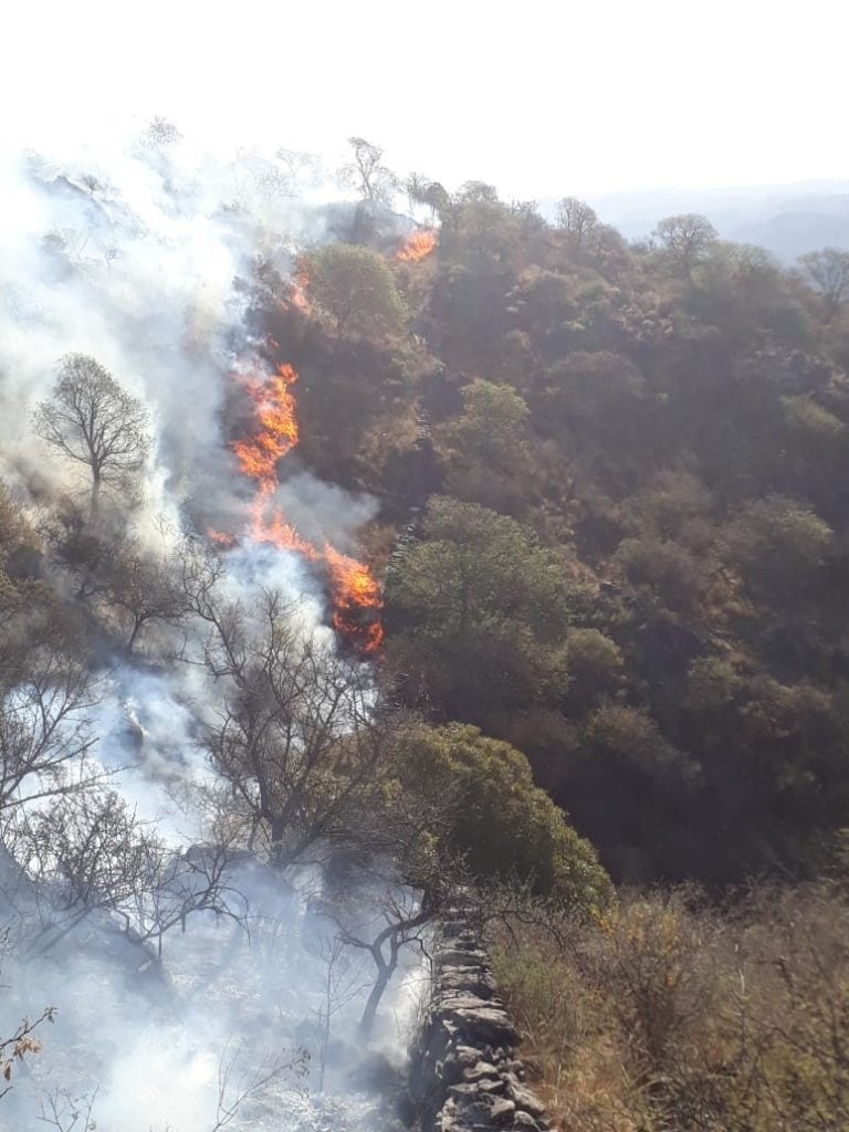 Fue contenido el incendio del viernes 21 de setiembre en Alpa Corral.