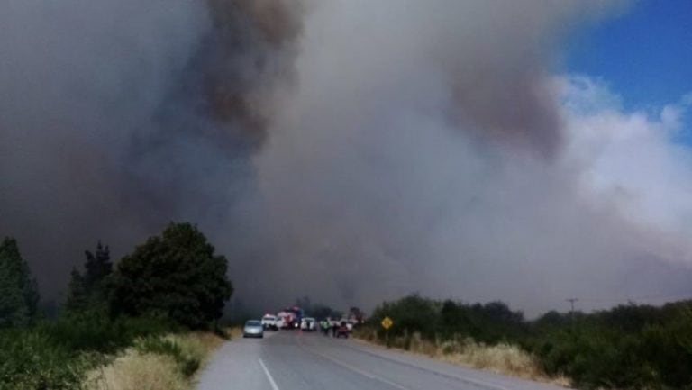 La situación es preocupante porque se registraron múltiples focos de incendio en la zona.