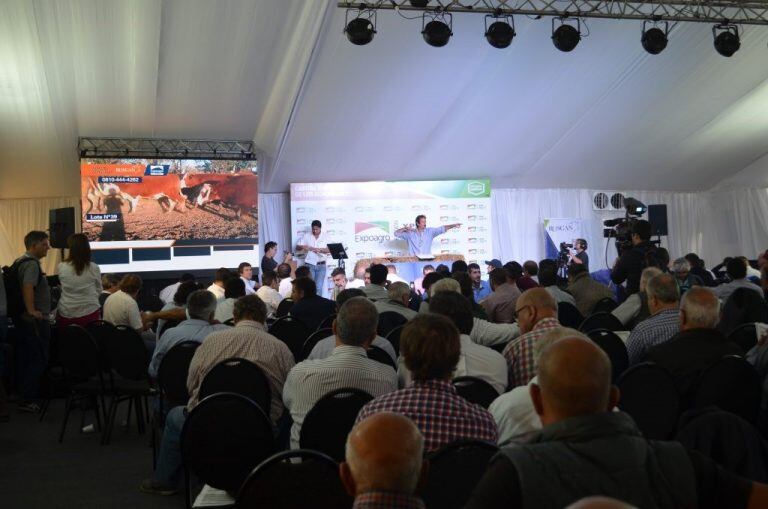 Ganaderia Expoagro 2020