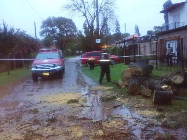 Caída de árbol obstruye una calle en Mendiolaza