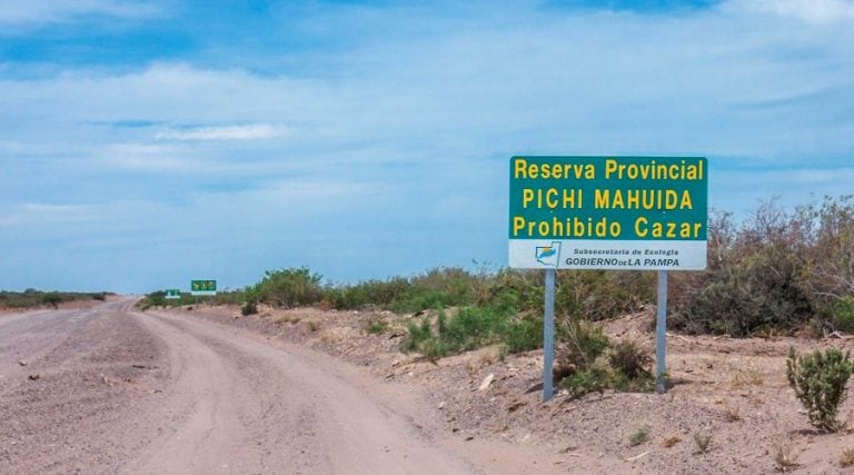 Las áreas protegidas preservan ecosistemas nativos (APN)