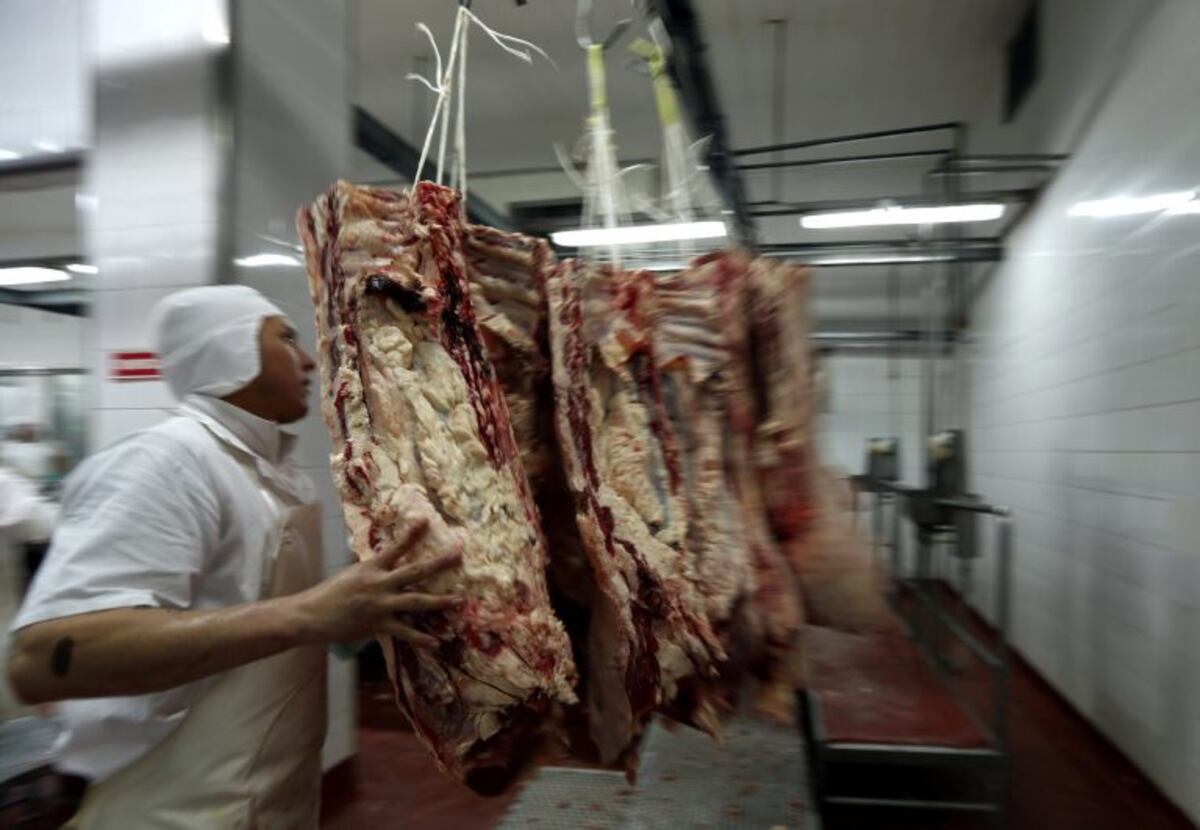 Las exportaciones de carne bovina aumentaron 72,1% y alcanzaron un nuevo récord