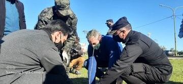 El intendente de Posadas, Leonardo Stelatto, en la plantación de árboles con Ecología y Policía Ambiental. (Municipalidad)