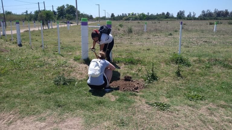 Diversas instituciones y organizaciones participan del Plan de Forestación