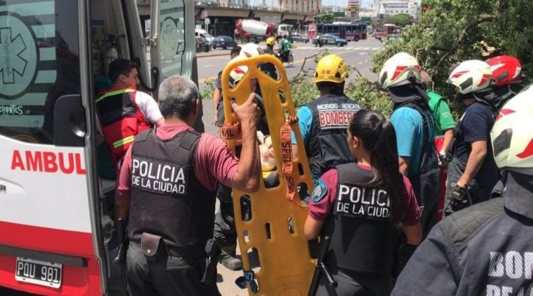 Cayó un árbol en Constitución (Twitter)