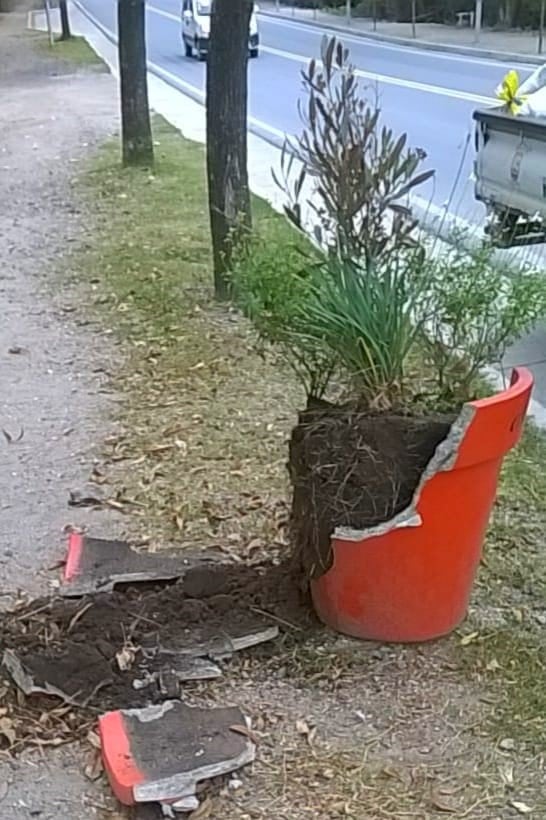 El Paseo de la Casona sufrió diversos daños en mobiliario (Foto: Prensa Agua de Oro)