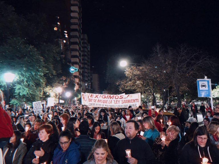 Rosita, la perra despellejada en Río Cuarto, movilizó una gran cantidad de personas para pedir justicia por la agresión. (LV 16 Radio Río Cuarto)