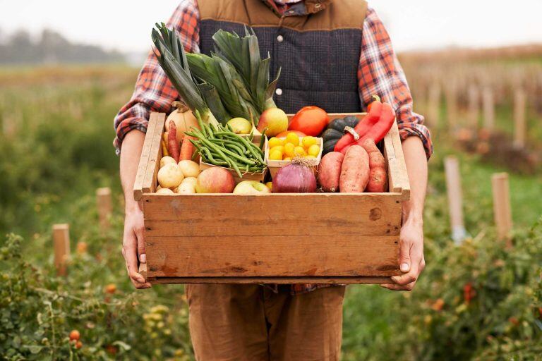 Si todos fueran vegetarianos, ¿se terminaría el hambre en el mundo?