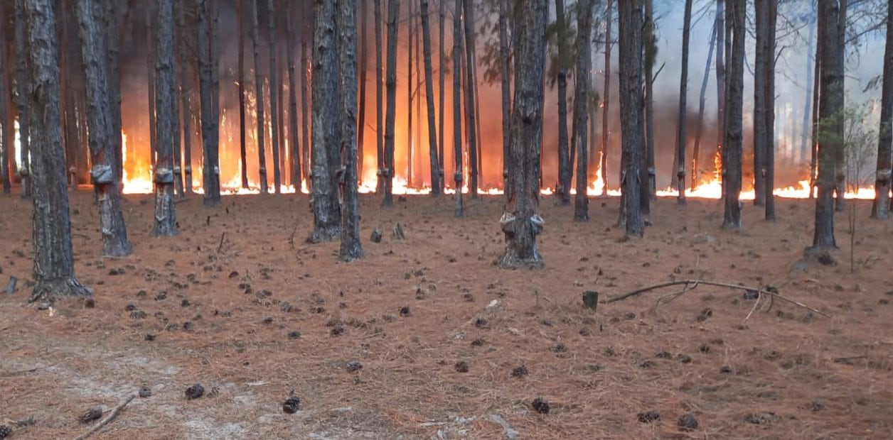 Incendios en Corrientes. (Clarín)