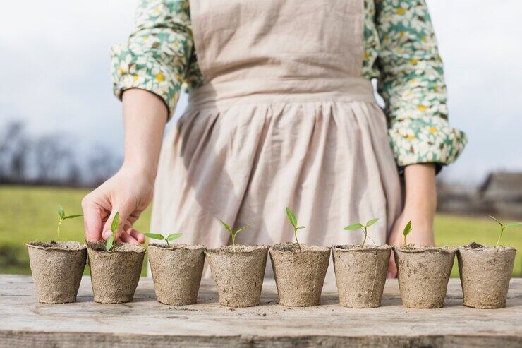 Un listado de plantas si estás buscando las que mejor se adapten al verano.