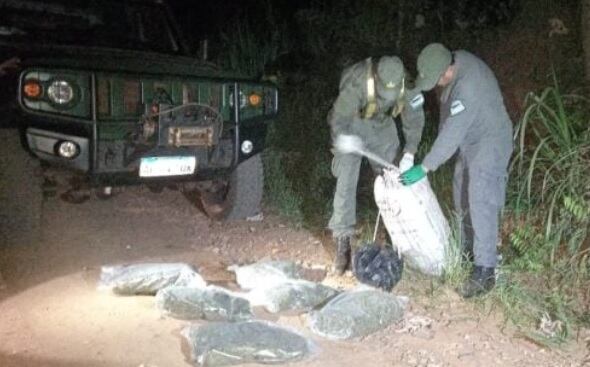 San Ignacio: Gendarmería Nacional incautó marihuana.