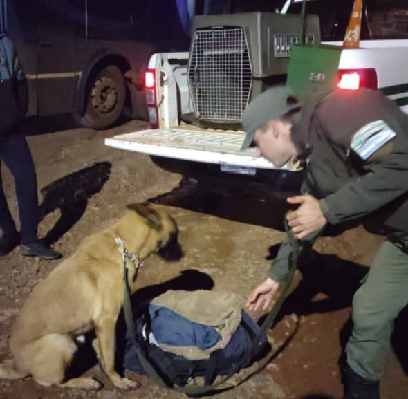 Gendarmería Nacional secuestró marihuana en un ómnibus.