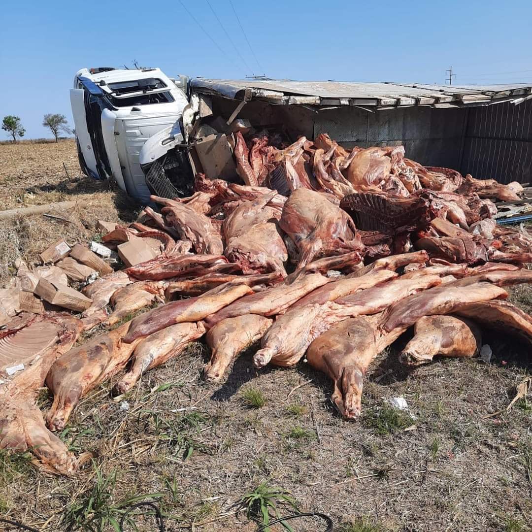 Accidente Frontera Norte.