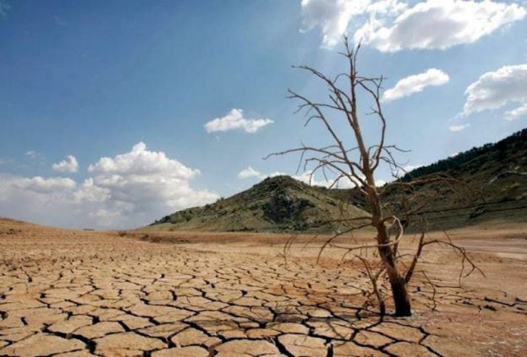 Proponen declarar la emergencia económica, agropecuaria y ganadera en Chaco