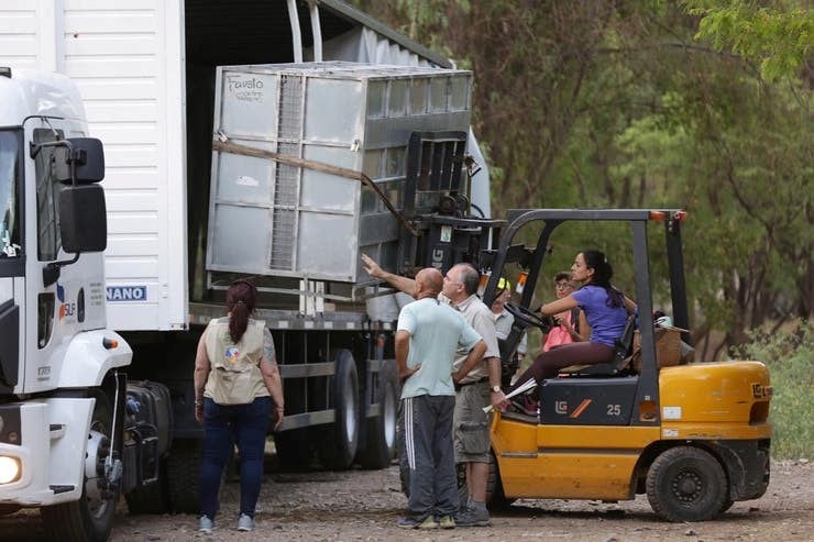 El traslado de 10 osos de Mendoza a EEUU.