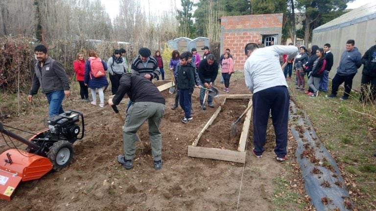 Taller sobre cultivo de frutillas en Los Antiguos