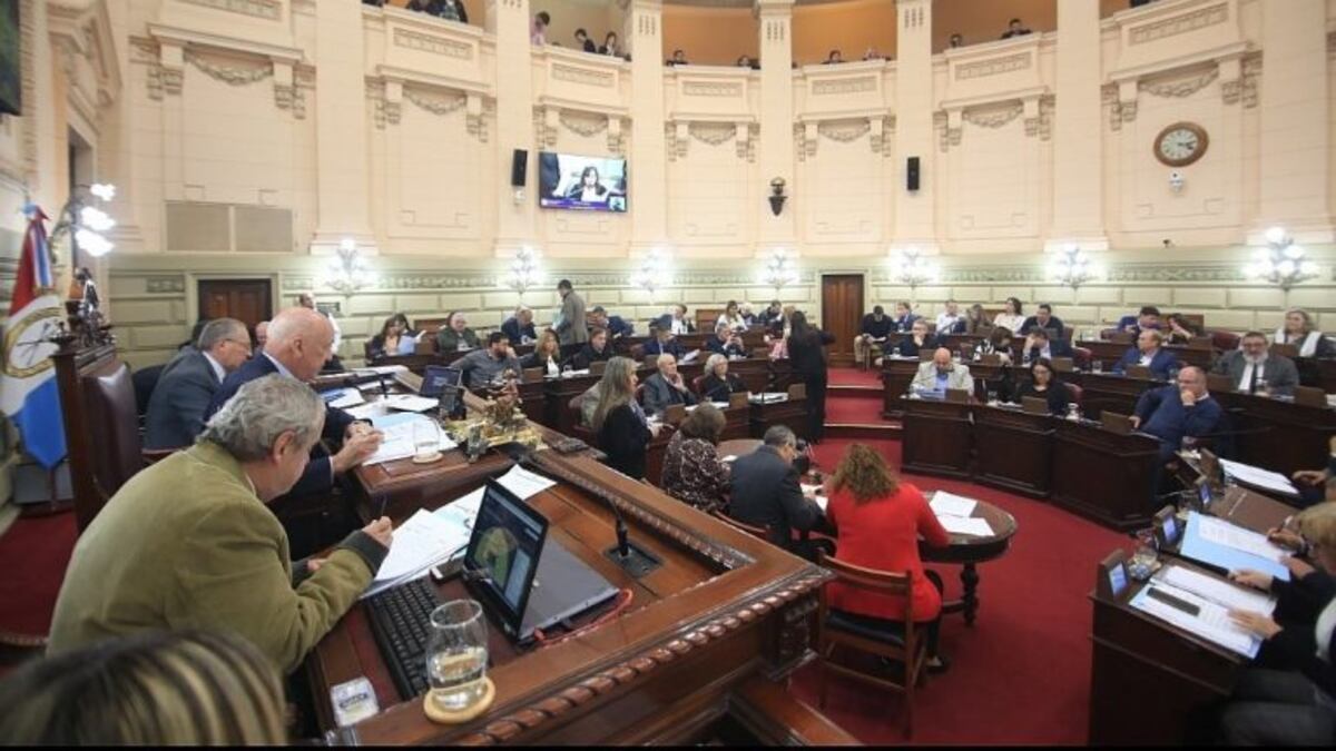El peronismo abandonó el recinto en Diputados y se rompió la transición Lifschitz - Perotti