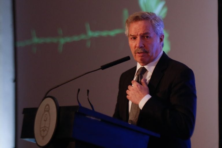 Felipe Solá, Canciller Argentino. (Foto: EFE/ Juan Ignacio Roncoroni)