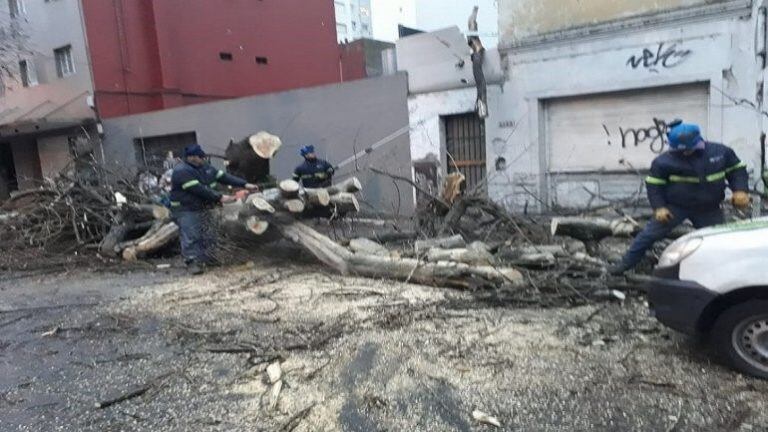 Calles anegadas y árboles caídos (Ahora Mar del Plata).