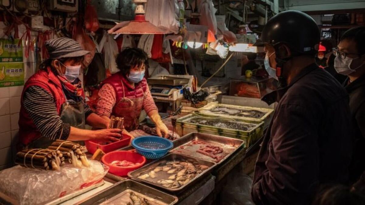 Revelan que China sigue vendiendo murciélagos