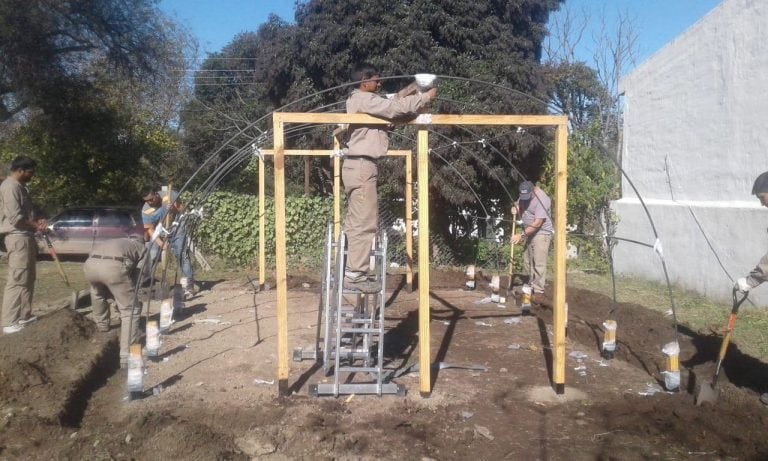 Vivero municipal en Salsipuedes (Foto: Radio Turismo)