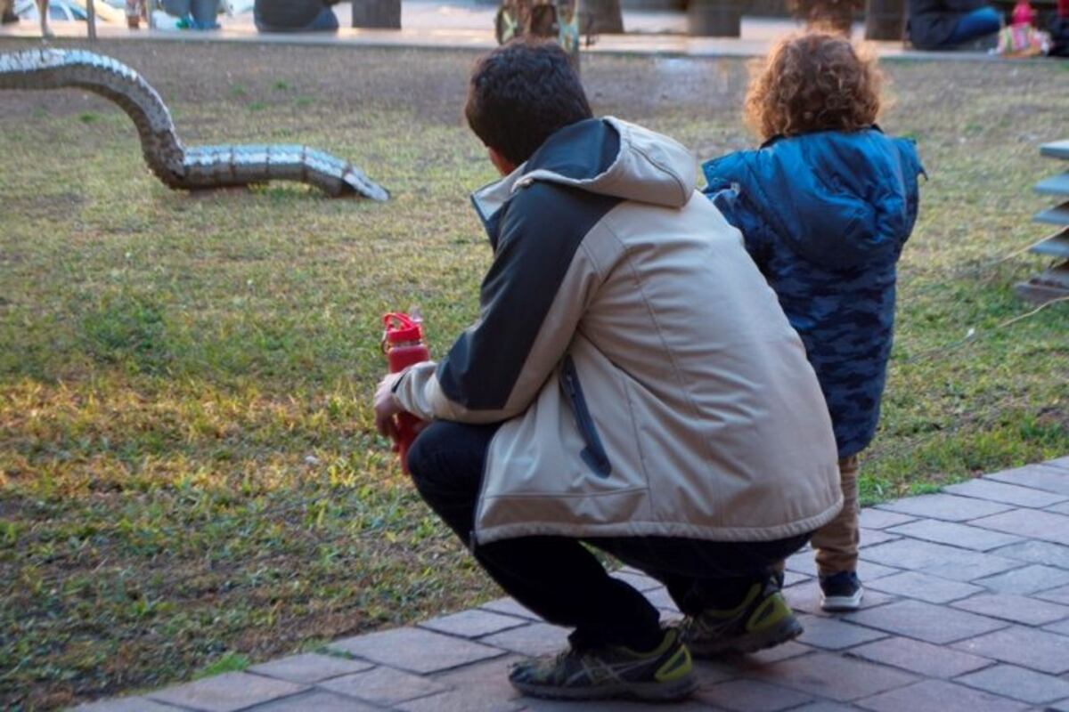 Ordenan la restitución internacional de dos niñas a Nueva Zelanda