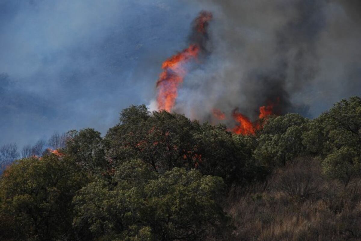 Incendios forestales: un total de tres hectáreas quedaron completamente quemadas este miércoles